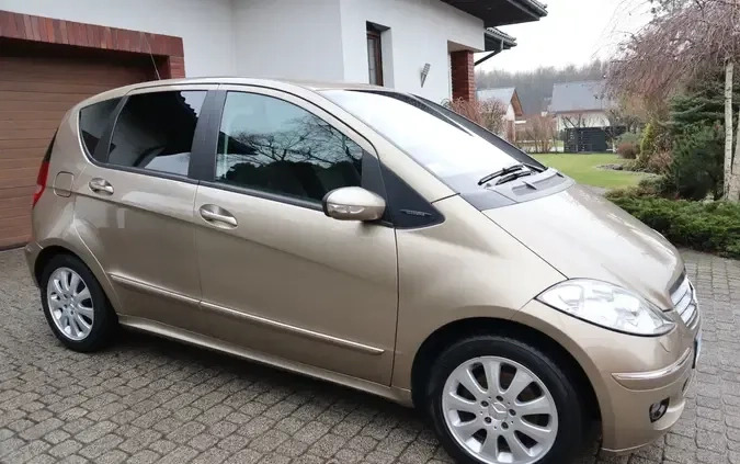 Mercedes-Benz Klasa A cena 16500 przebieg: 116061, rok produkcji 2004 z Borek Wielkopolski małe 211